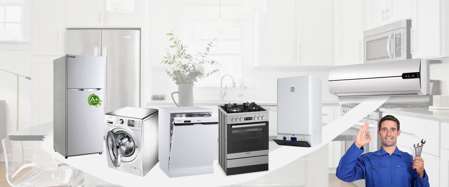 İzmir Electrolux Servisi